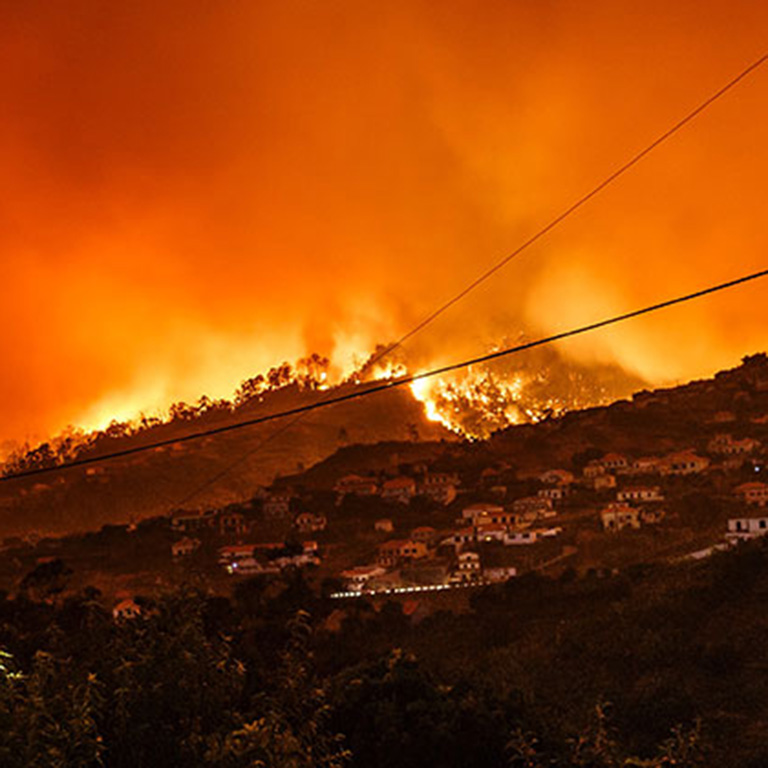 California Wildfire Case