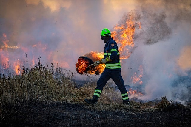 California Wildfire | Practice Area | The Law Office of Paul Mankin